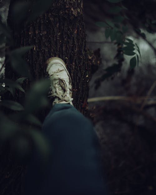 Point of View Photography of a Foot on a Tree Trunk 