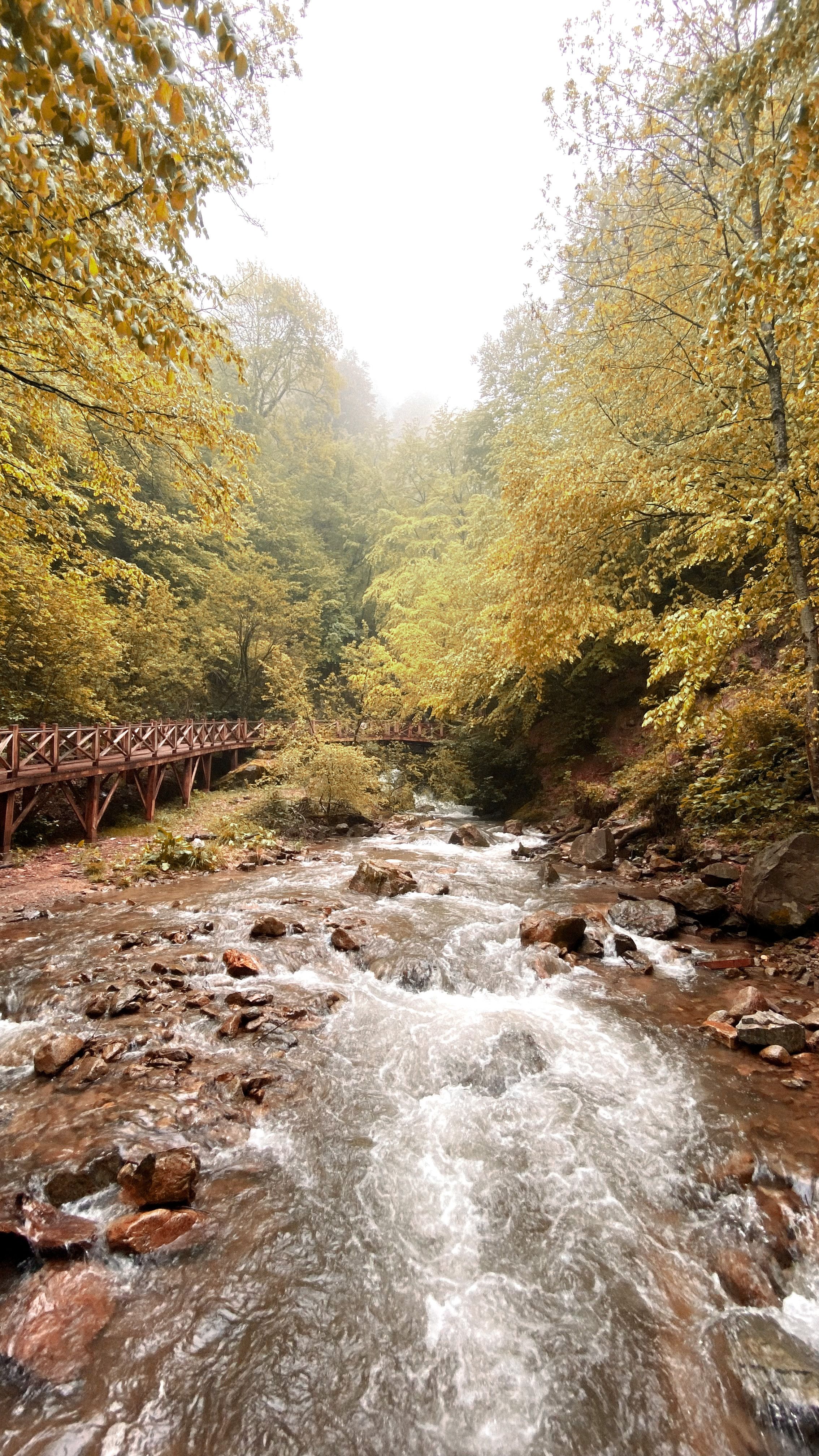 A tranquil river flowing through a lush autumn forest with a wooden bridge.