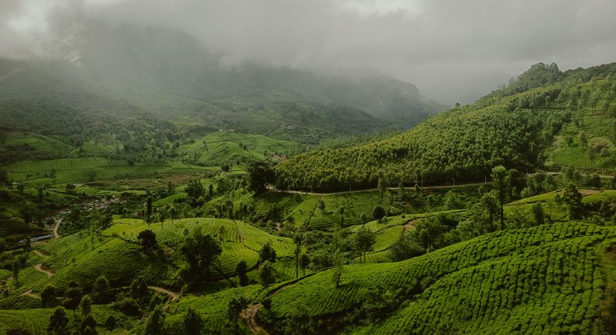 Wayanad photo 8