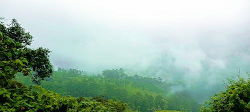 喀拉拉邦, 摄影泰米尔语, 蒙纳 的 免费素材图片