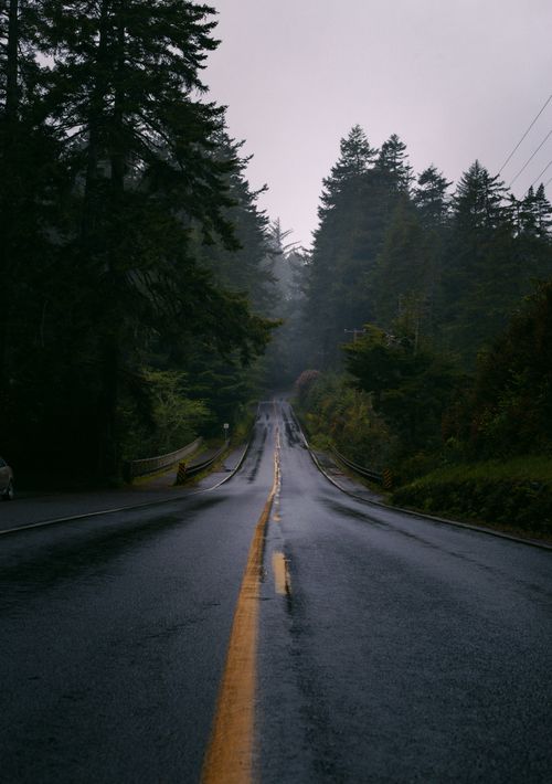 Free A quiet, foggy road meandering through a lush forest in Oregon, perfect for travel enthusiasts. Stock Photo
