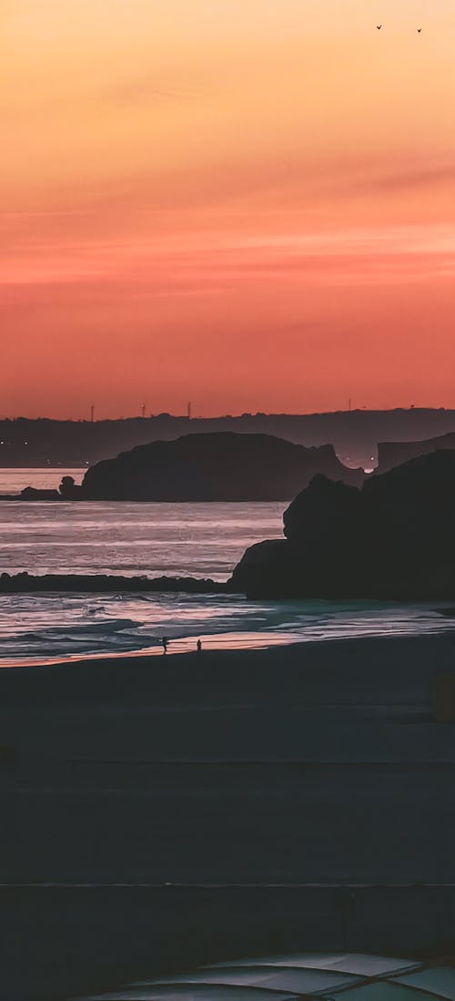 Photos gratuites de algarve, amoureux de la plage, arbres verts