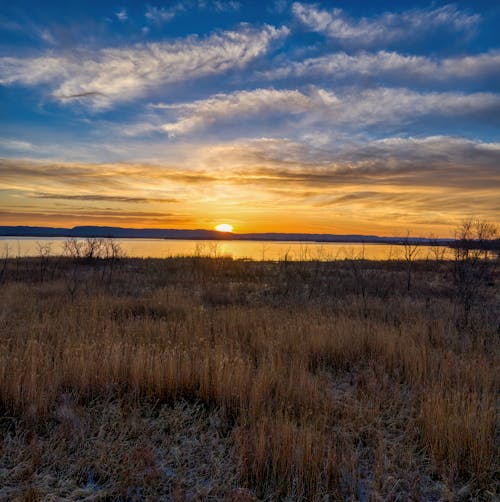 Free Brown Grass Field during Sunset Stock Photo