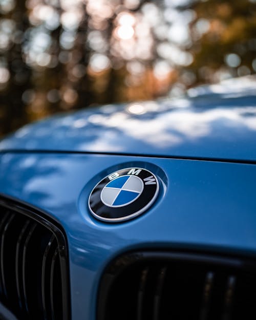 Emblem of a BMW Car