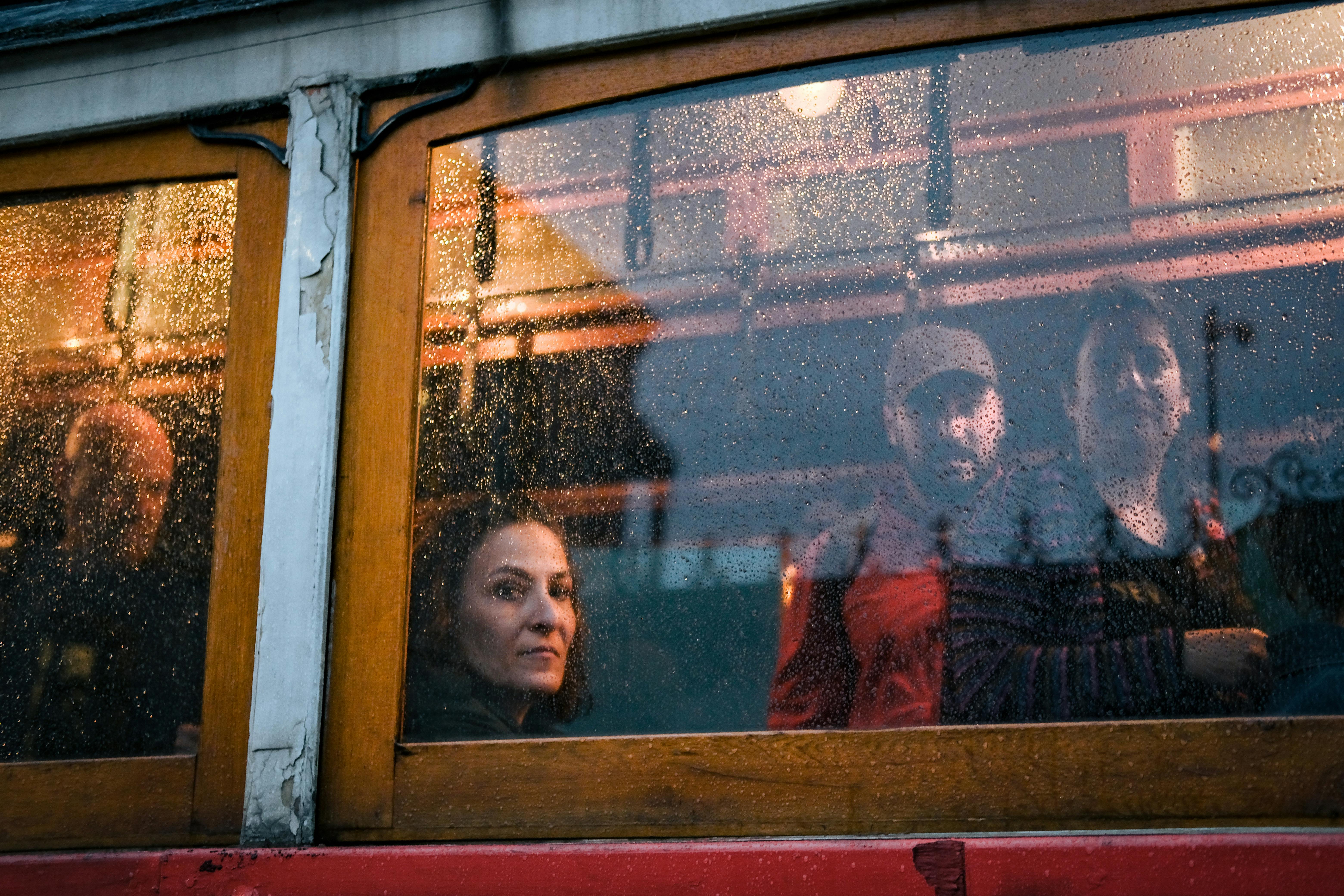 Why Do Dogs Have Wet Noses? Discover the Fascinating Reasons! 10 From Evolution to Emotion: The Fascinating Journey of Dogs’ Wet Noses