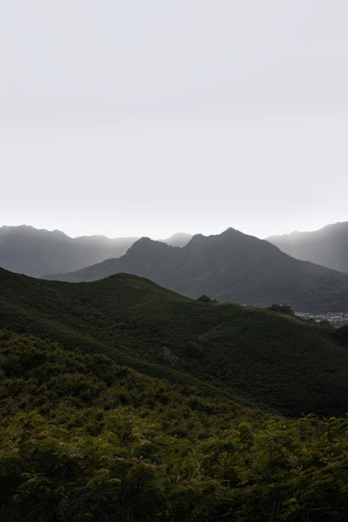 Foto d'estoc gratuïta de alba, arbres, camp