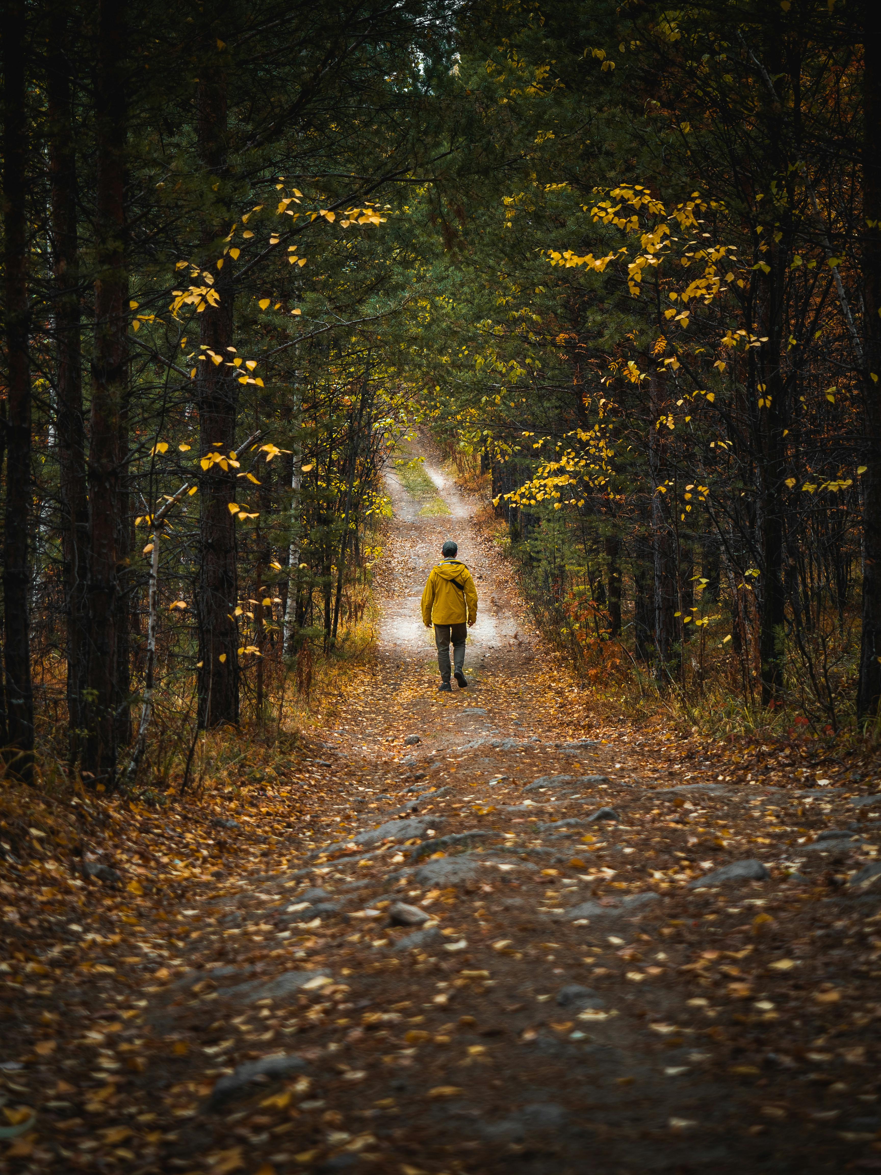 man in jacket walking away down forest path in early autumn