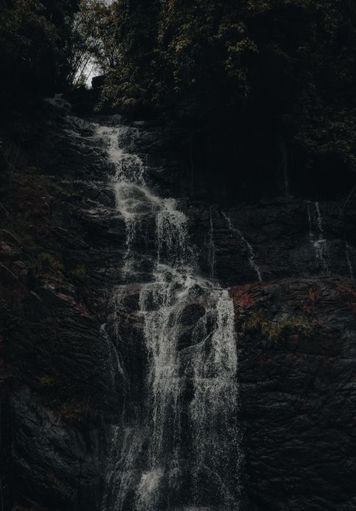 Free A tranquil waterfall cascading down rocky terrain in a lush, dense forest setting. Stock Photo