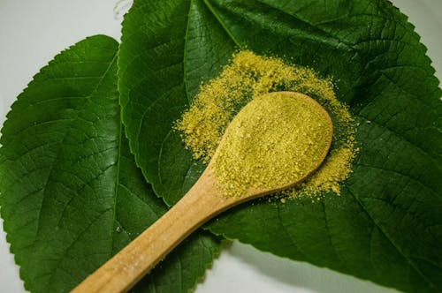 Close-up of Green Powder in Spoon on Leaves