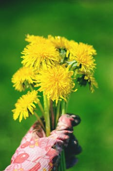 Image by Tamara Elnova