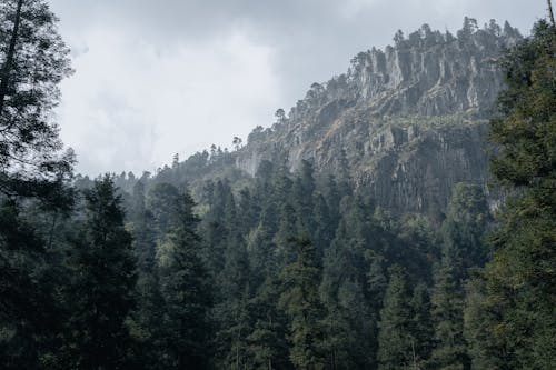 Ücretsiz ağaçlar, dağ, doğa içeren Ücretsiz stok fotoğraf Stok Fotoğraflar