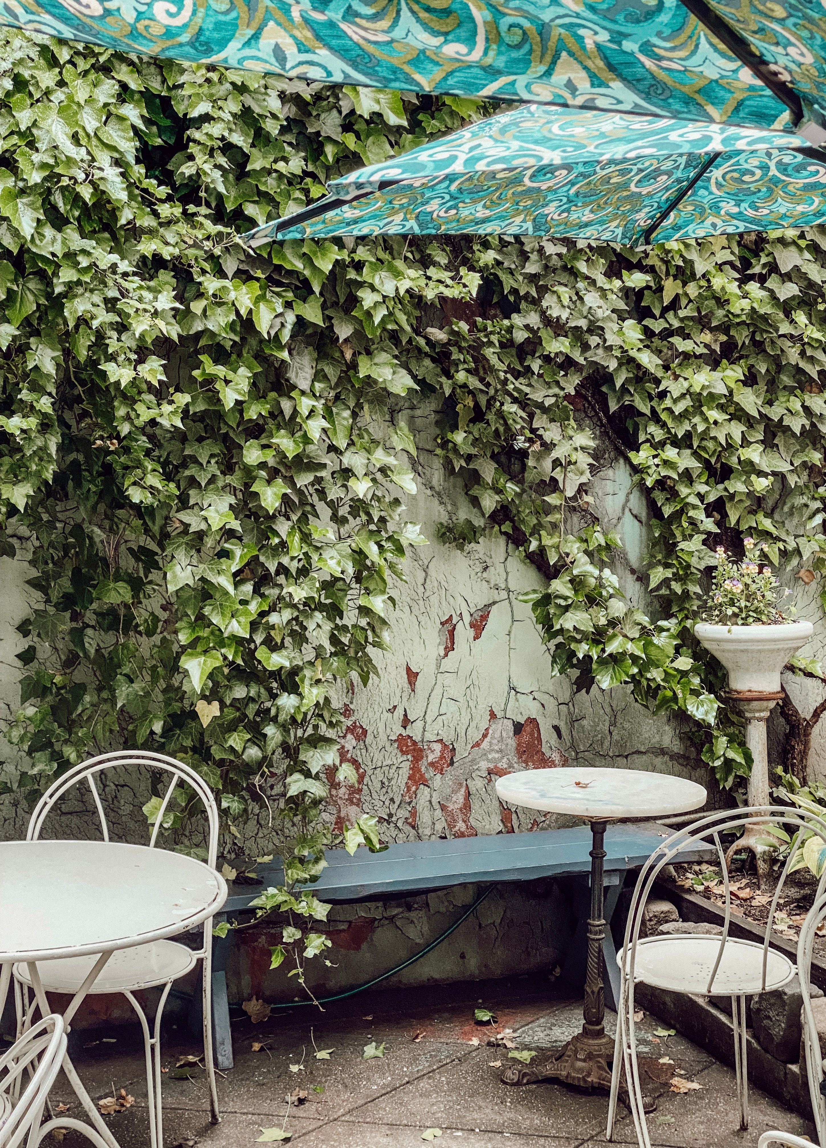 Outdoor cafe seating area with ivy-covered wall in New York; perfect for a quiet rendezvous.