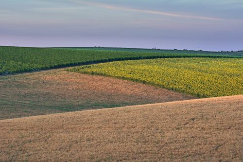 Free Serene rural landscape with rolling fields at twilight, showcasing nature's beauty. Stock Photo
