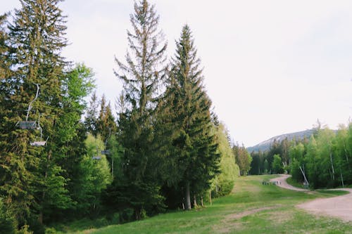 Imagine de stoc gratuită din munte, munți, natură