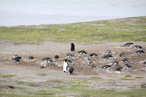 Kostenloses Stock Foto zu klimawechsel