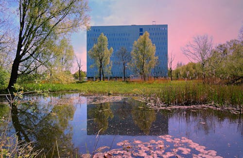 Free Builing in the Pink Stock Photo