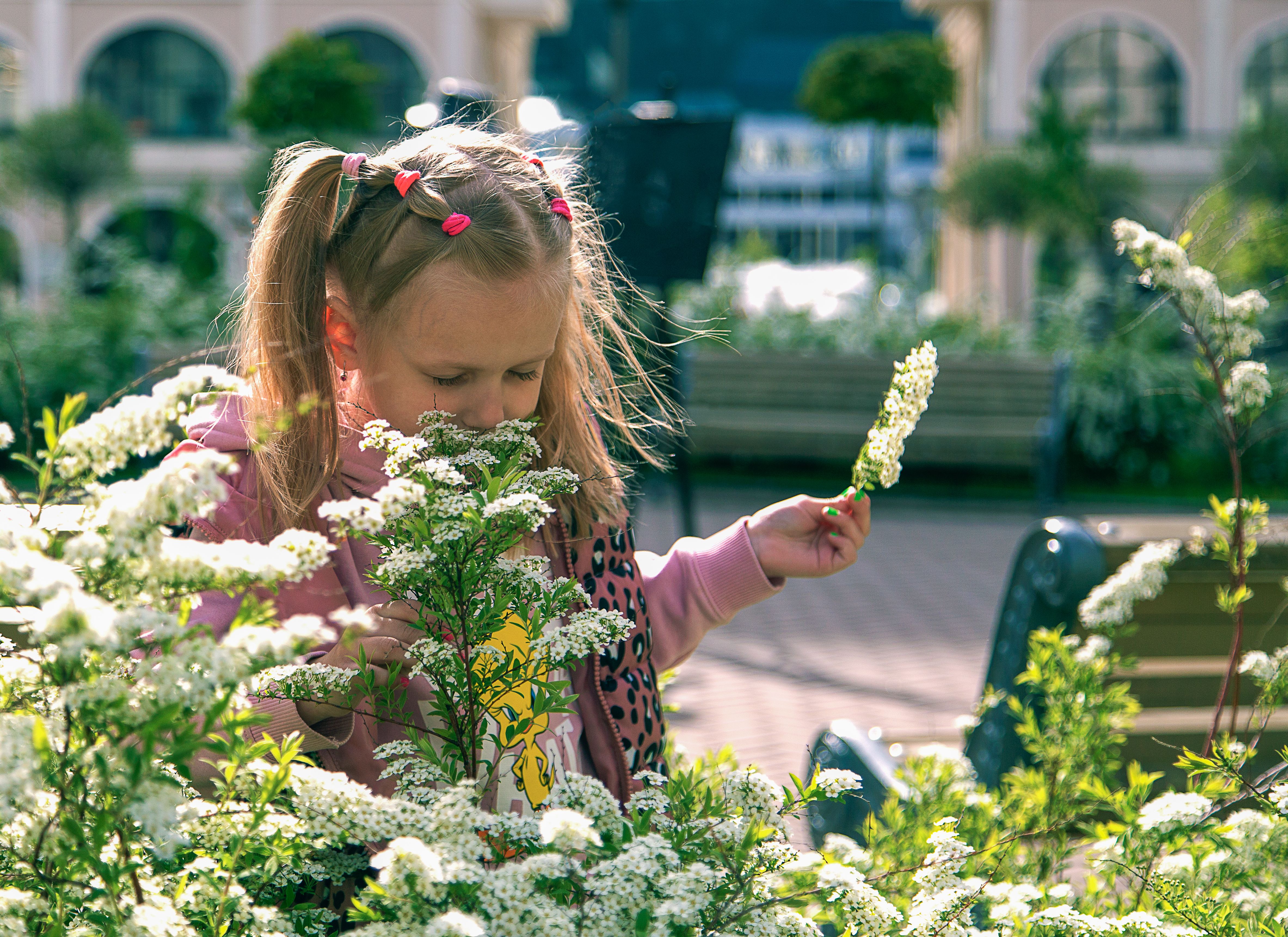 Little Girl in Pink Hoodie Smelling White Flowers · Free Stock Photo