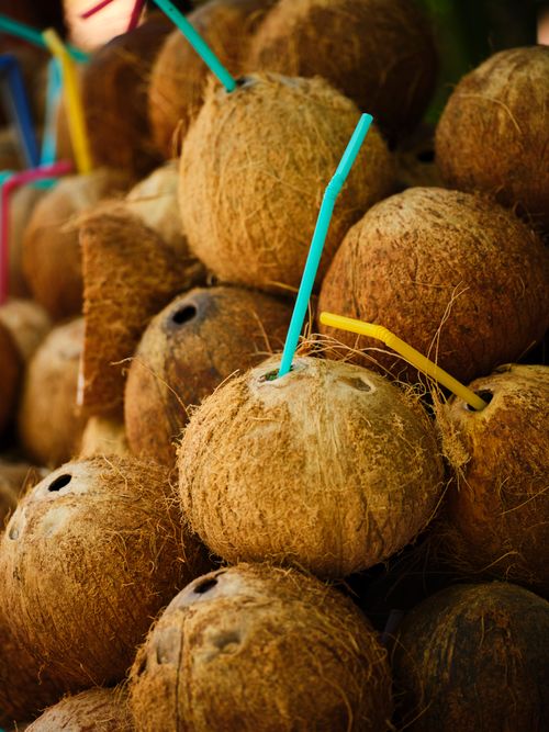 Free Coconuts with colorful straws for a refreshing and tropical experience. Stock Photo