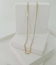 Gold Necklace in White Box