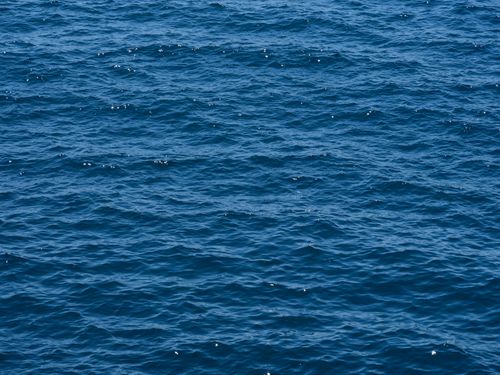 Free A tranquil ocean scene with vivid blue waves under the bright daylight creating a peaceful seascape. Stock Photo