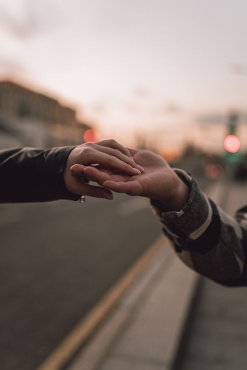 Free A tender moment as a couple holds hands on a street at twilight. Stock Photo