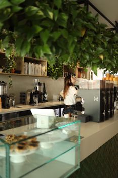 Young female barista working in a modern coffee shop with lush green decor.