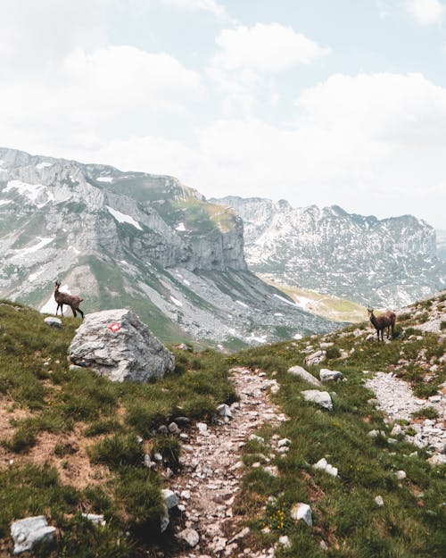 moutains, 夏天, 天性 的 免费素材图片