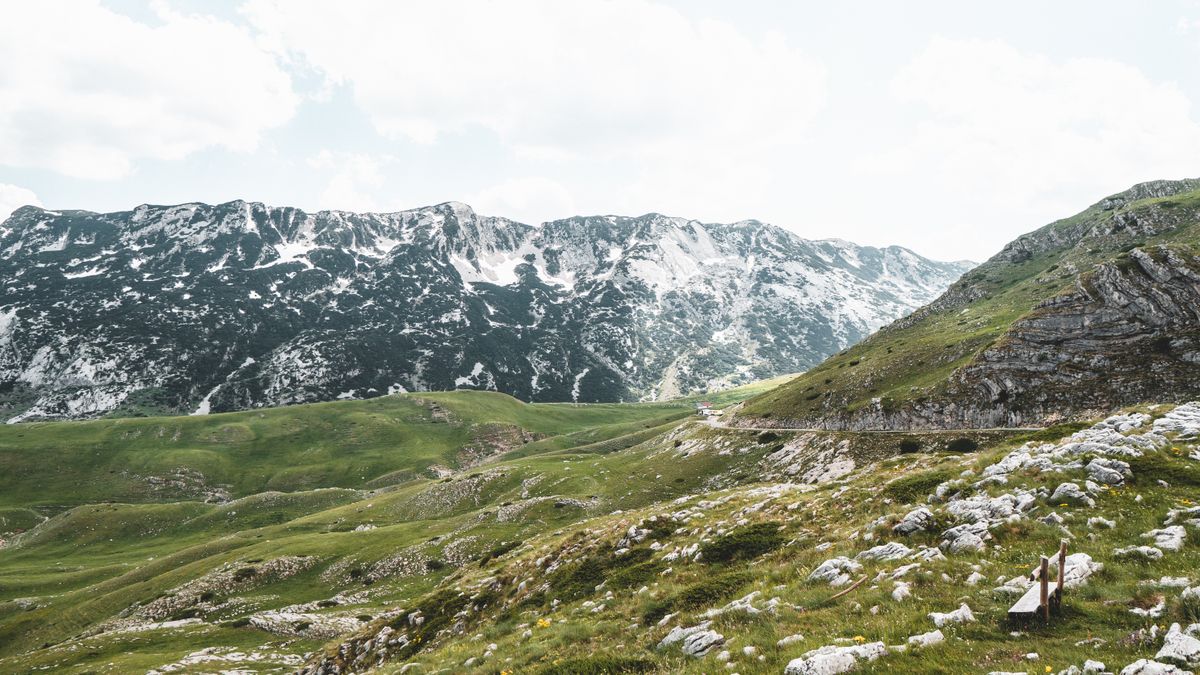 Green landscape beside a snow covered mountain