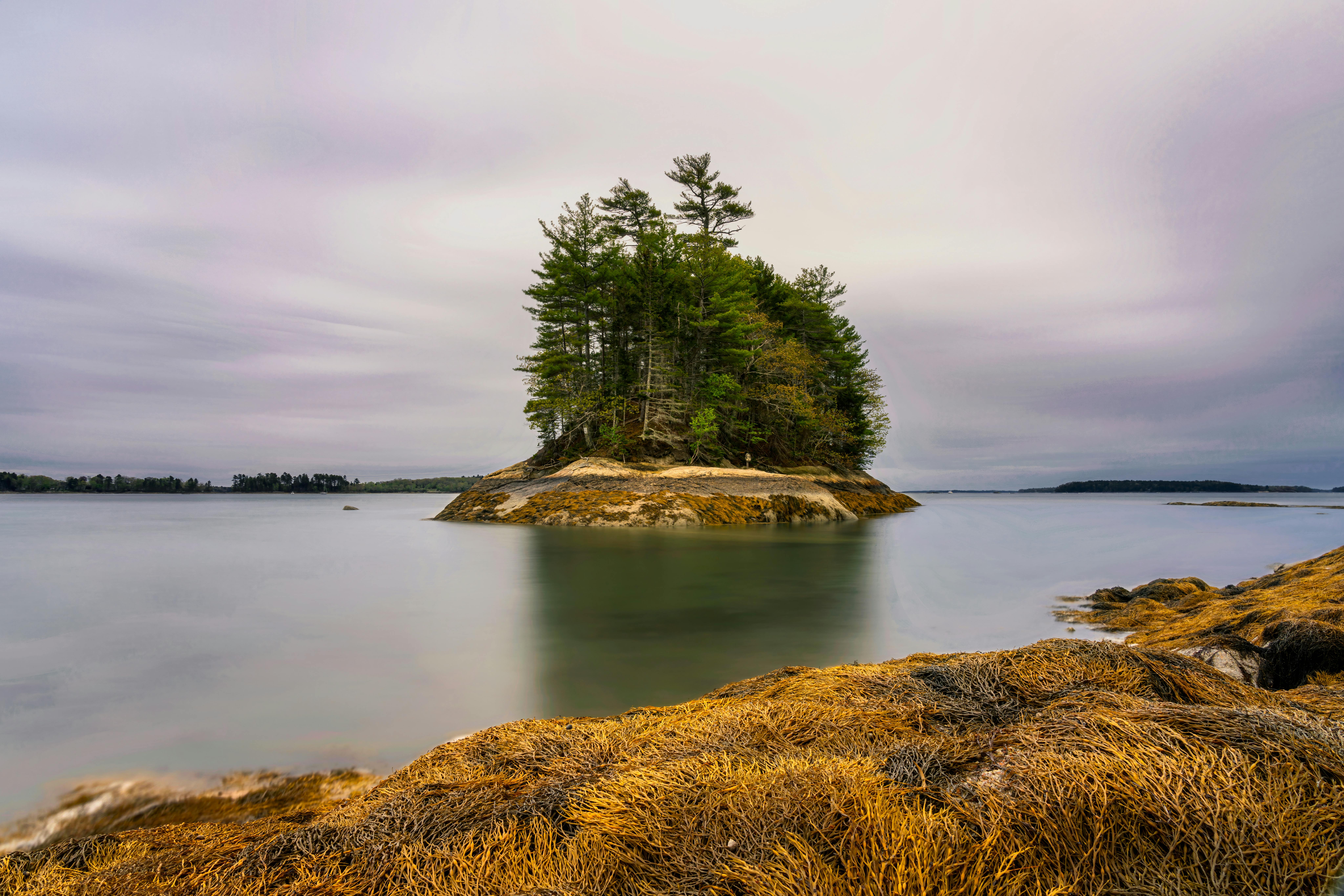 Maine college adding online programs for cannabis certifications — Photo by Skyler Ewing on Pexels