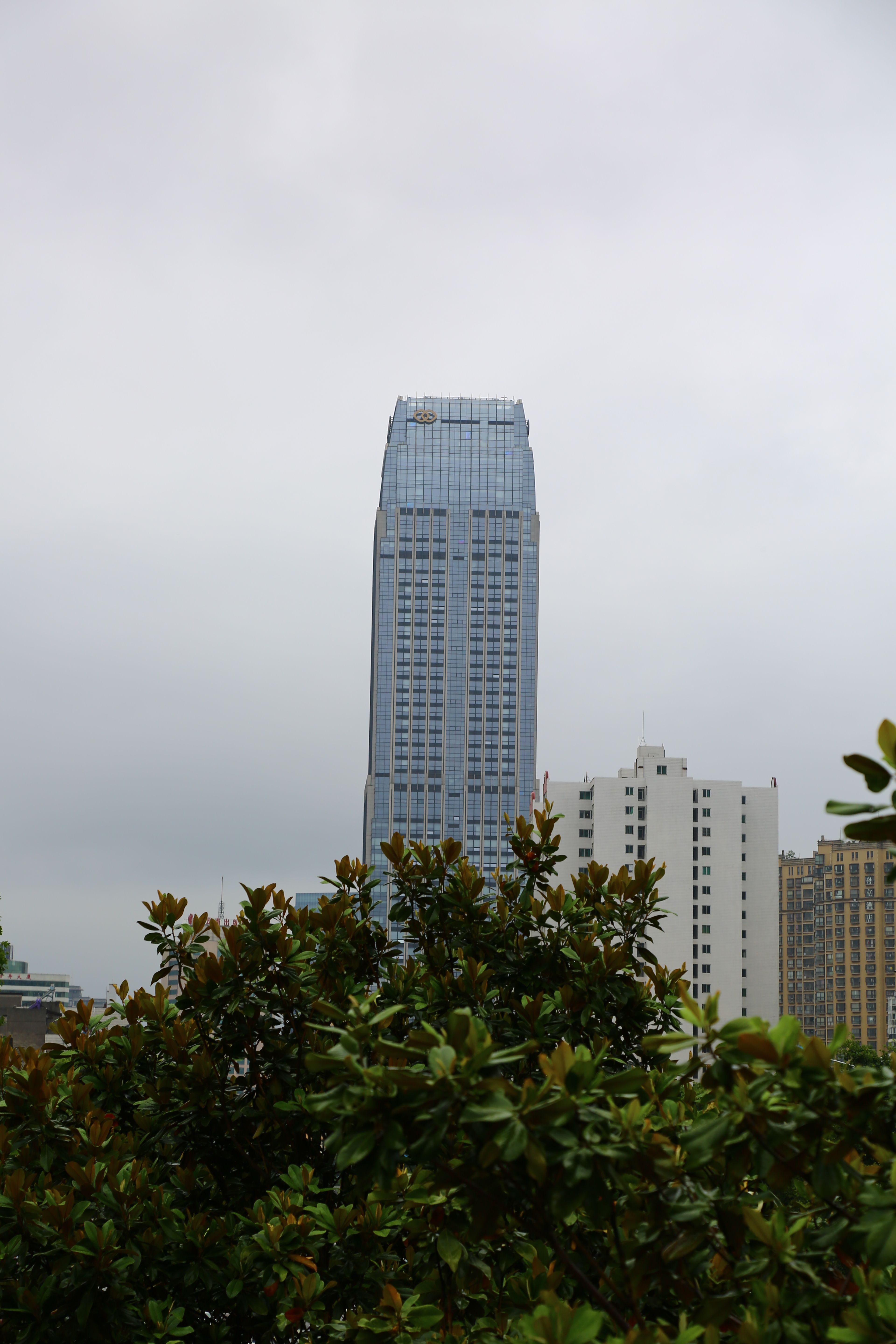 Skyscraper Visible Behind the Trees · Free Stock Photo