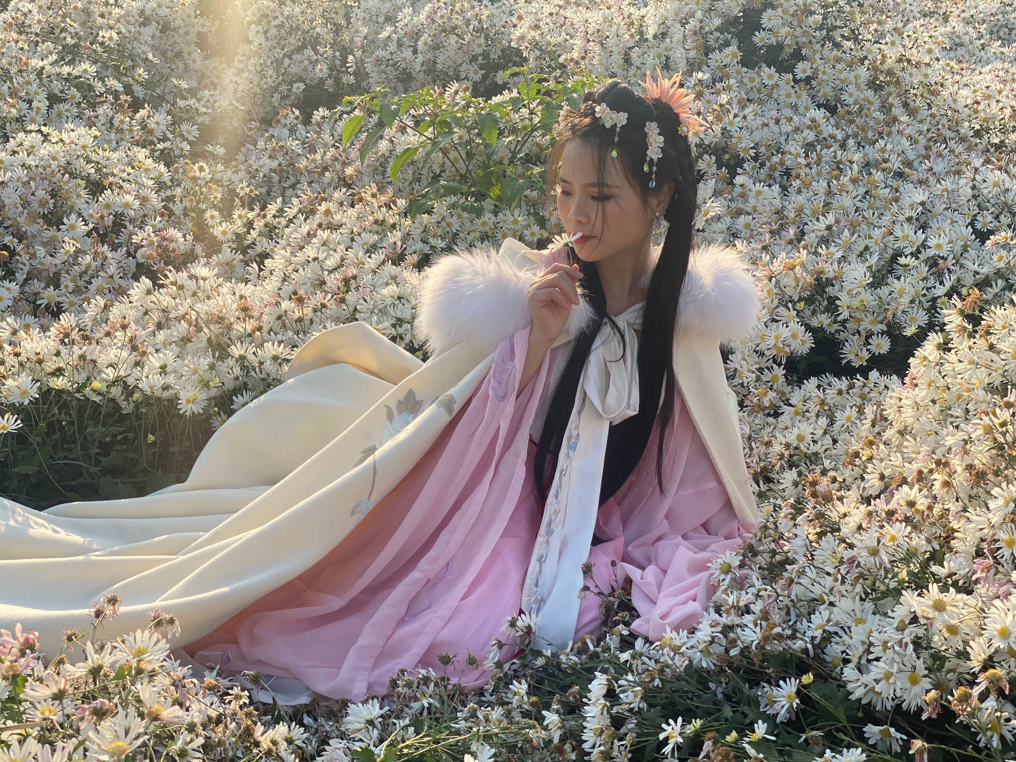 Woman in Pink Dress Sitting on Flower Field · Free Stock Photo