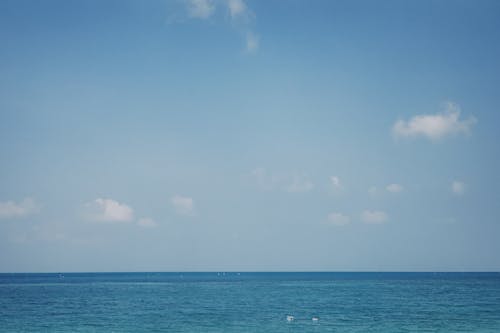 Foto profissional grátis de atraente, céu, conhecimento