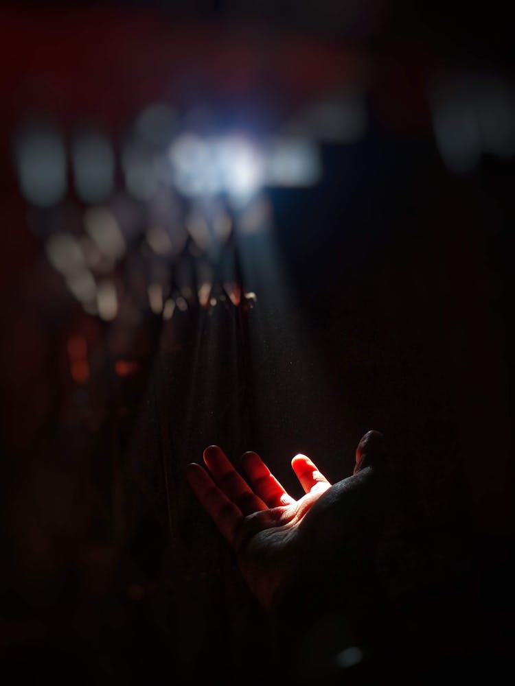 Man Reaching His Hand In The Direction Of Sunlight