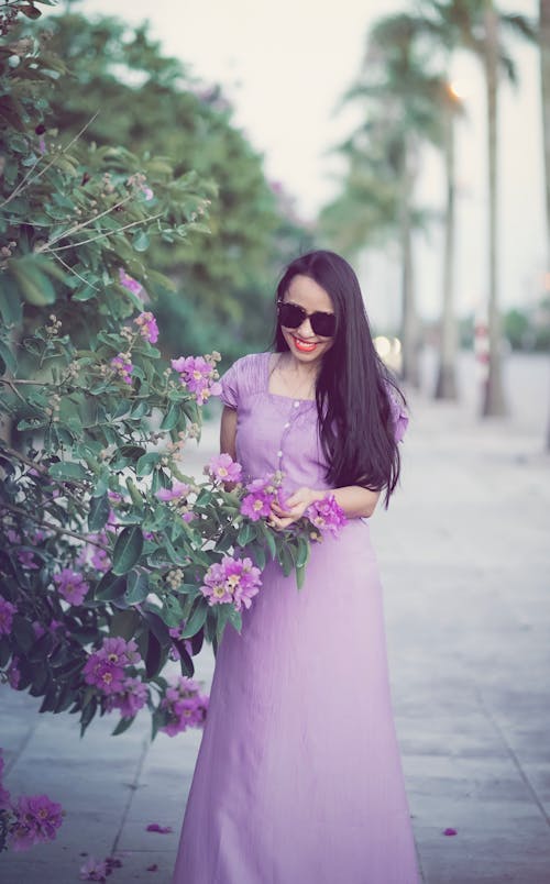 Fotobanka s bezplatnými fotkami na tému fialové šaty, flóra, kríky