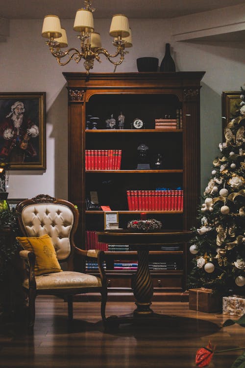 Book Shelves Beside a Christmas Tree