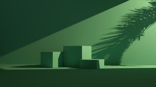 Green Podium with Shadow of Palm Leaf