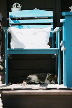 A serene scene of a cat napping under a blue chair on a sunny wooden porch.
