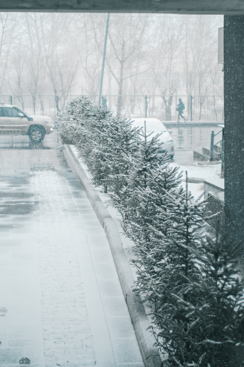 Free A serene winter street in Ulaanbaatar with snowfall, trees, and parked cars. Stock Photo