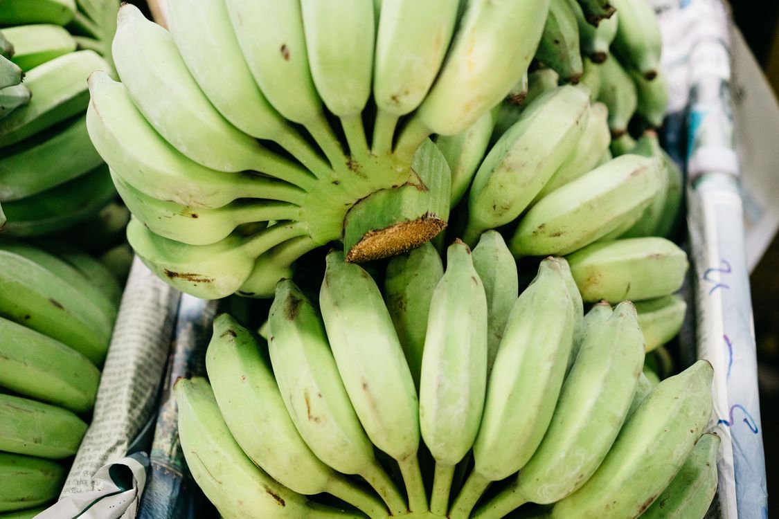 Close up Photo Of Green Banana Fruit Free Stock Photo close-up-photo-of-green-banana-fruit-free-stock-photo