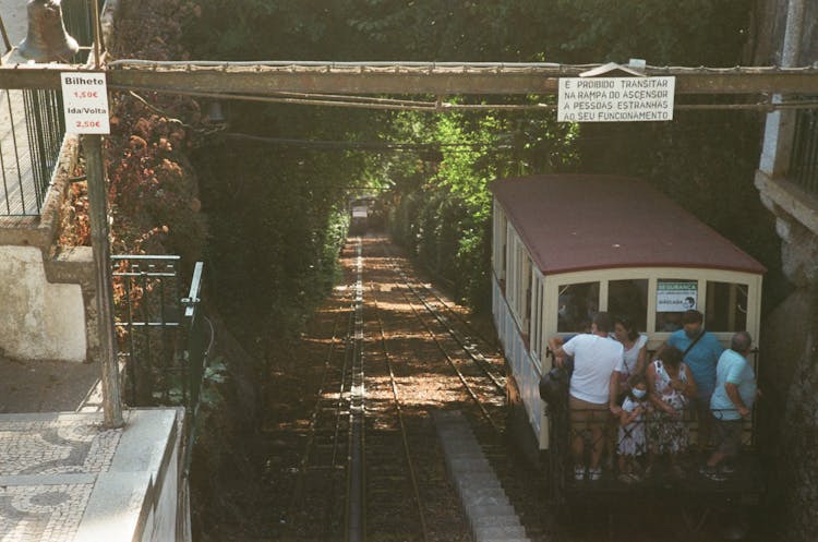 Tourists In Train In Forest