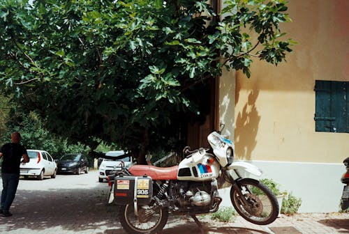 Red and White Motorcycle Parked Beside Green Tree
