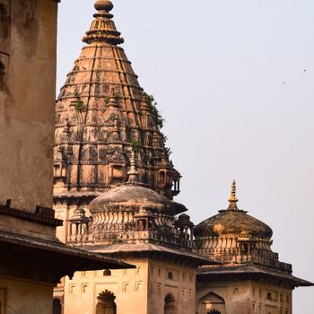 Detailed image of an ancient temple showcasing royal chhatris and intricate sculptures in India.