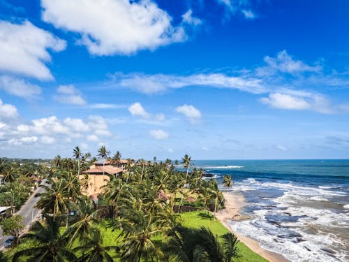 Free Sri Lanka ocean coastline Stock Photo