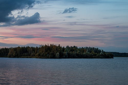 Foto d'estoc gratuïta de aigua de mar, alba, arbres