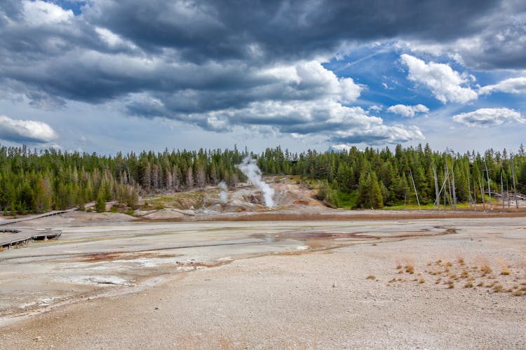 Geyser In Yellowstone National Park