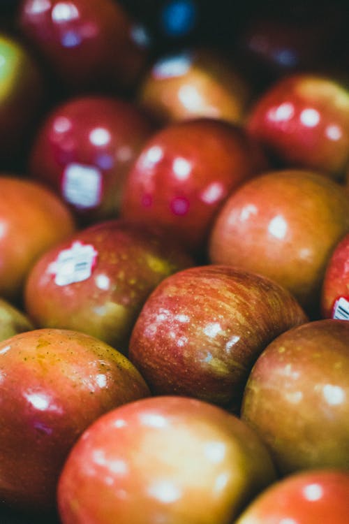 Red Juicy Apples in Close-up Photography