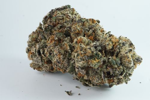 Free Grandaddy Purple Stock Photo