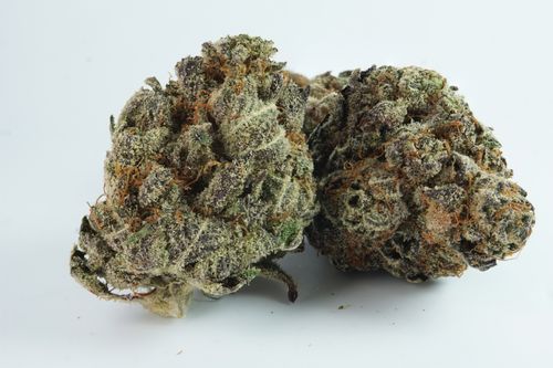 Free Tangerine-Cookies Stock Photo