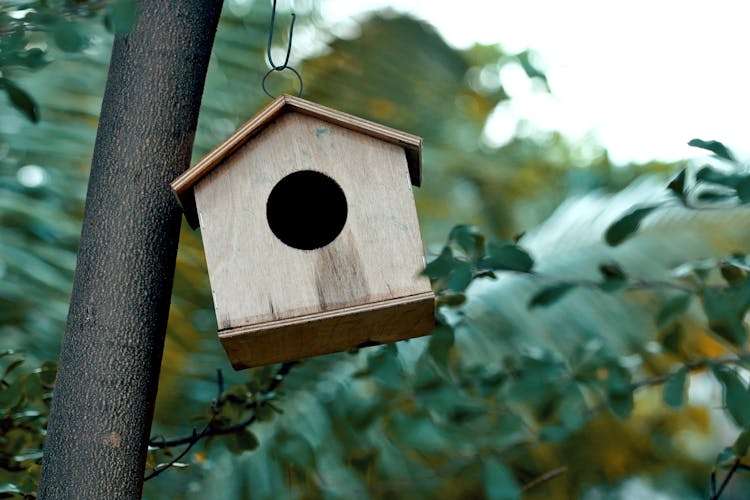 Brown Wooden Birdhouse