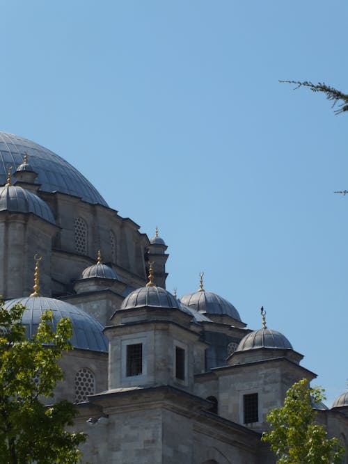 Closeup of Architecture with Cupolas